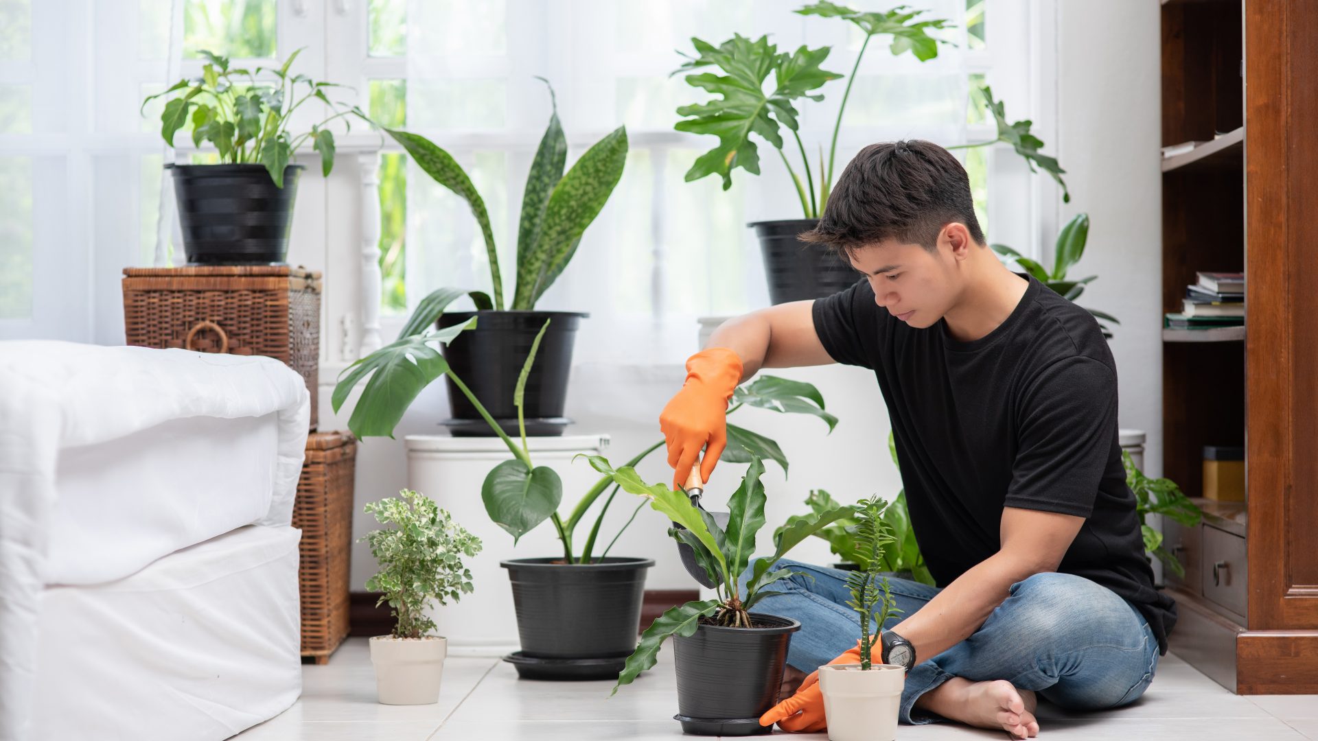 บทความที่เกี่ยวข้องกับรางน้ำฝน