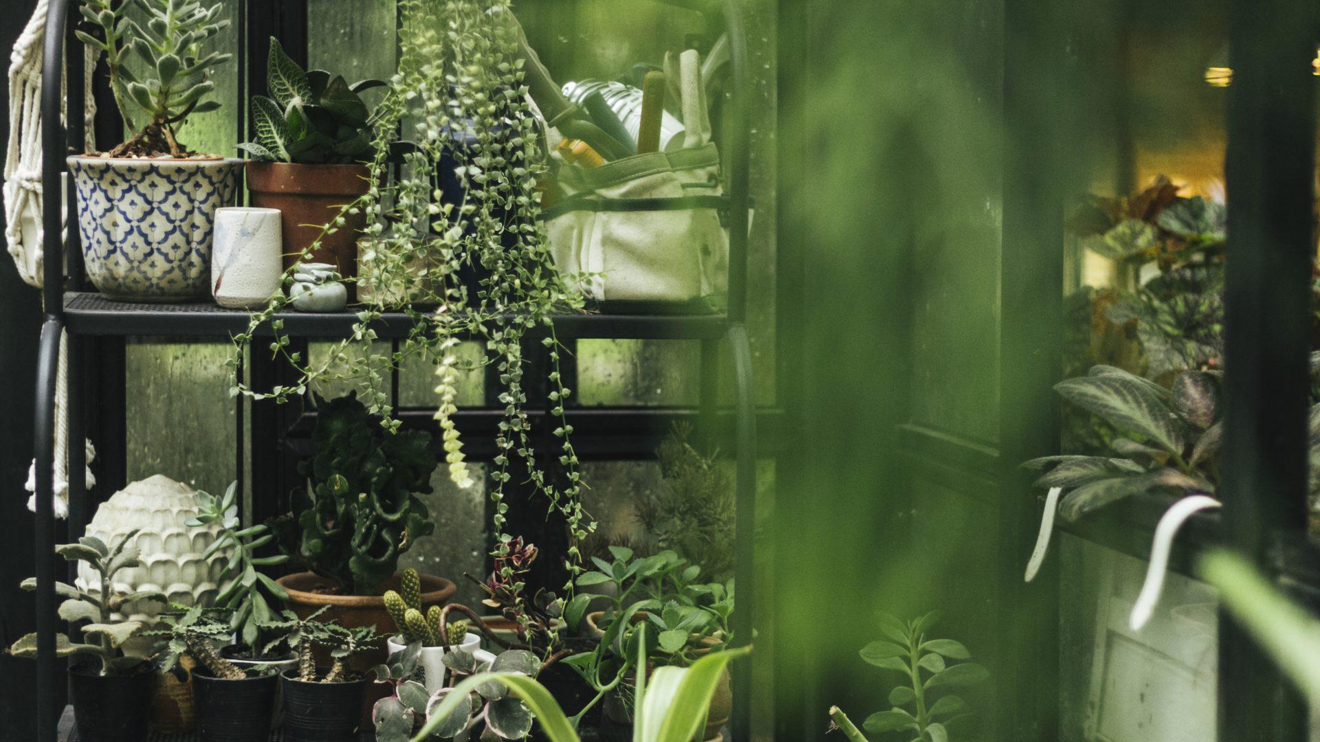 บทความที่เกี่ยวข้องกับรางน้ำฝน