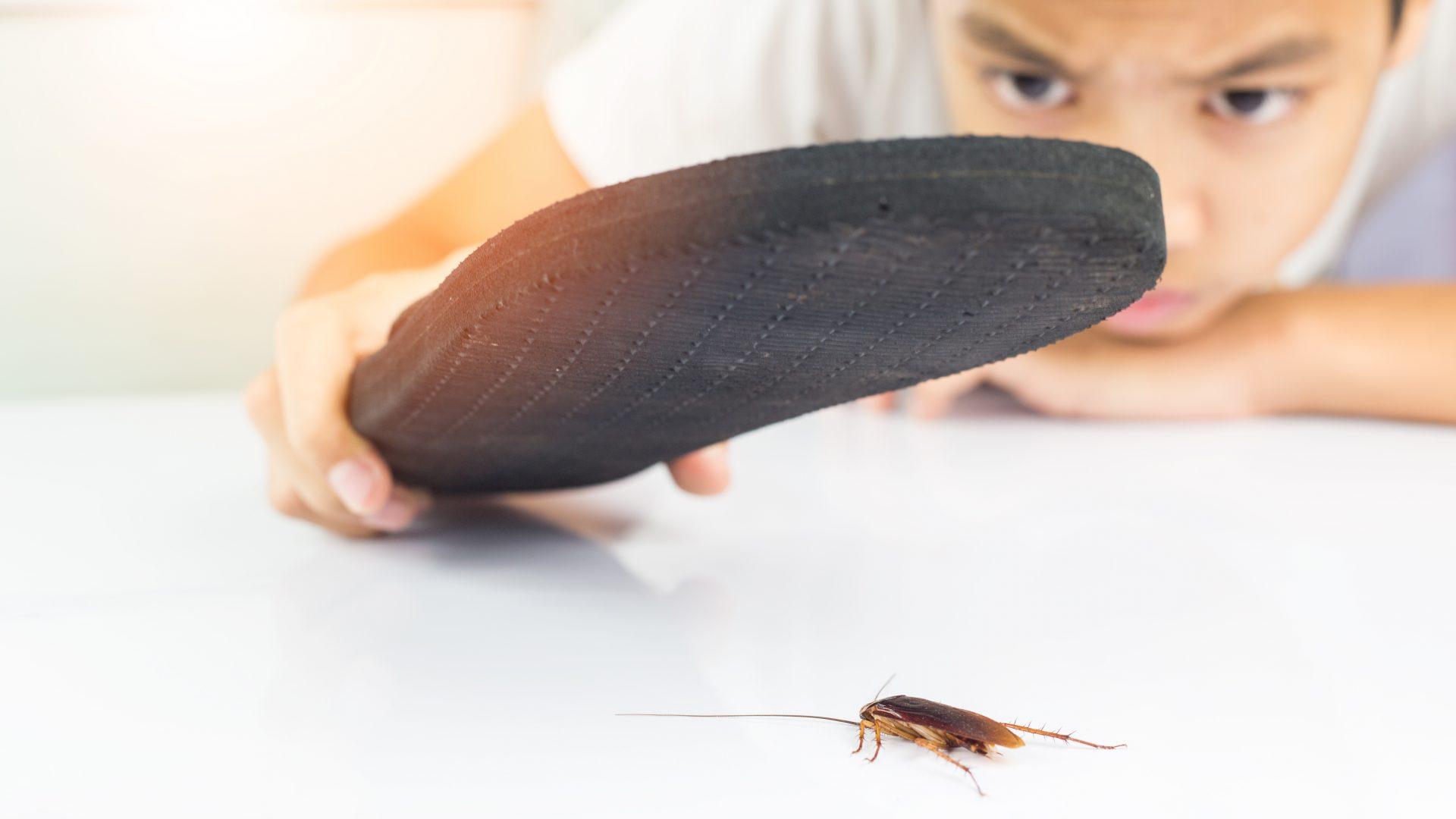 บทความที่เกี่ยวข้องกับรางน้ำฝน