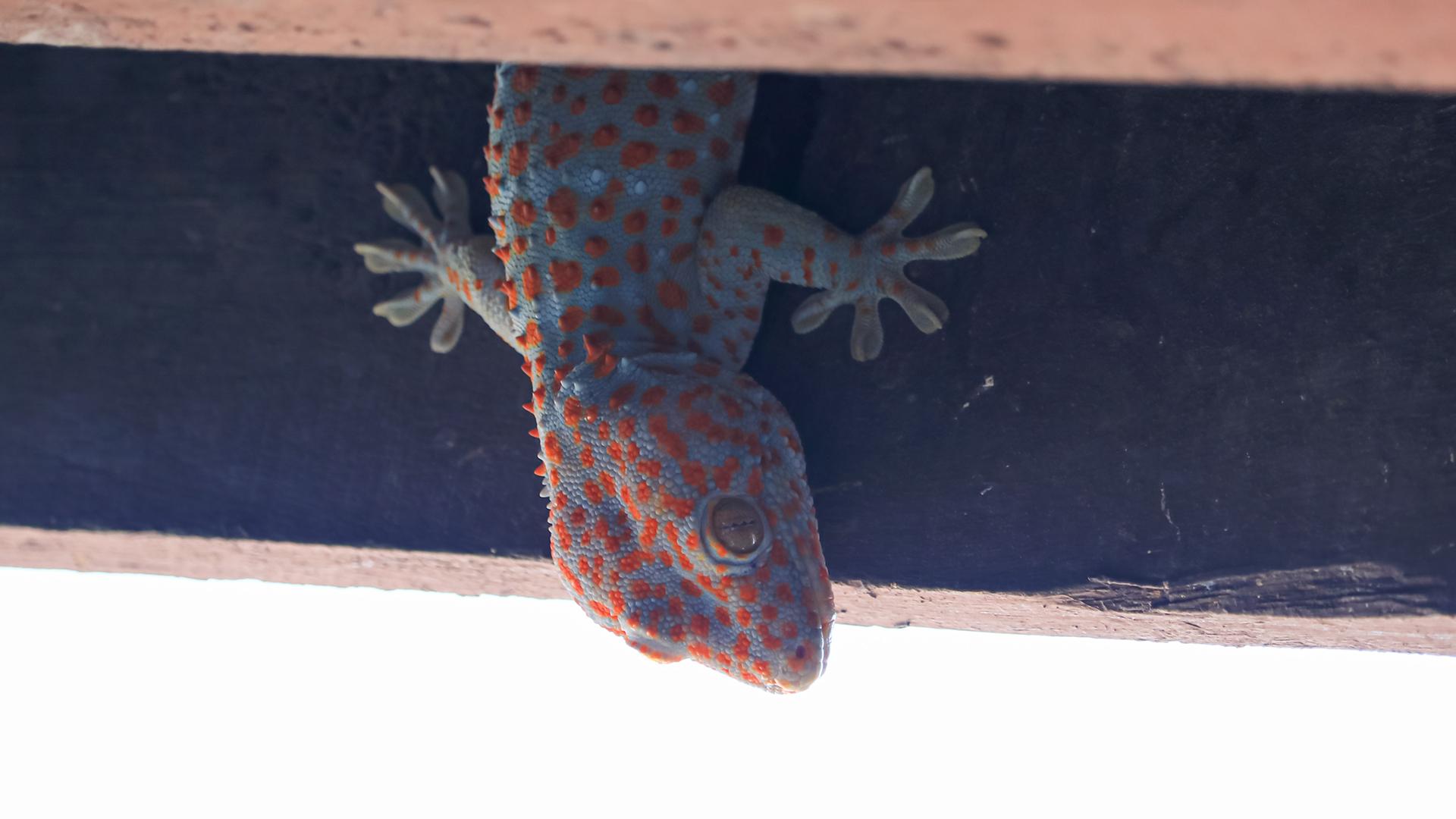 บทความที่เกี่ยวข้องกับรางน้ำฝน