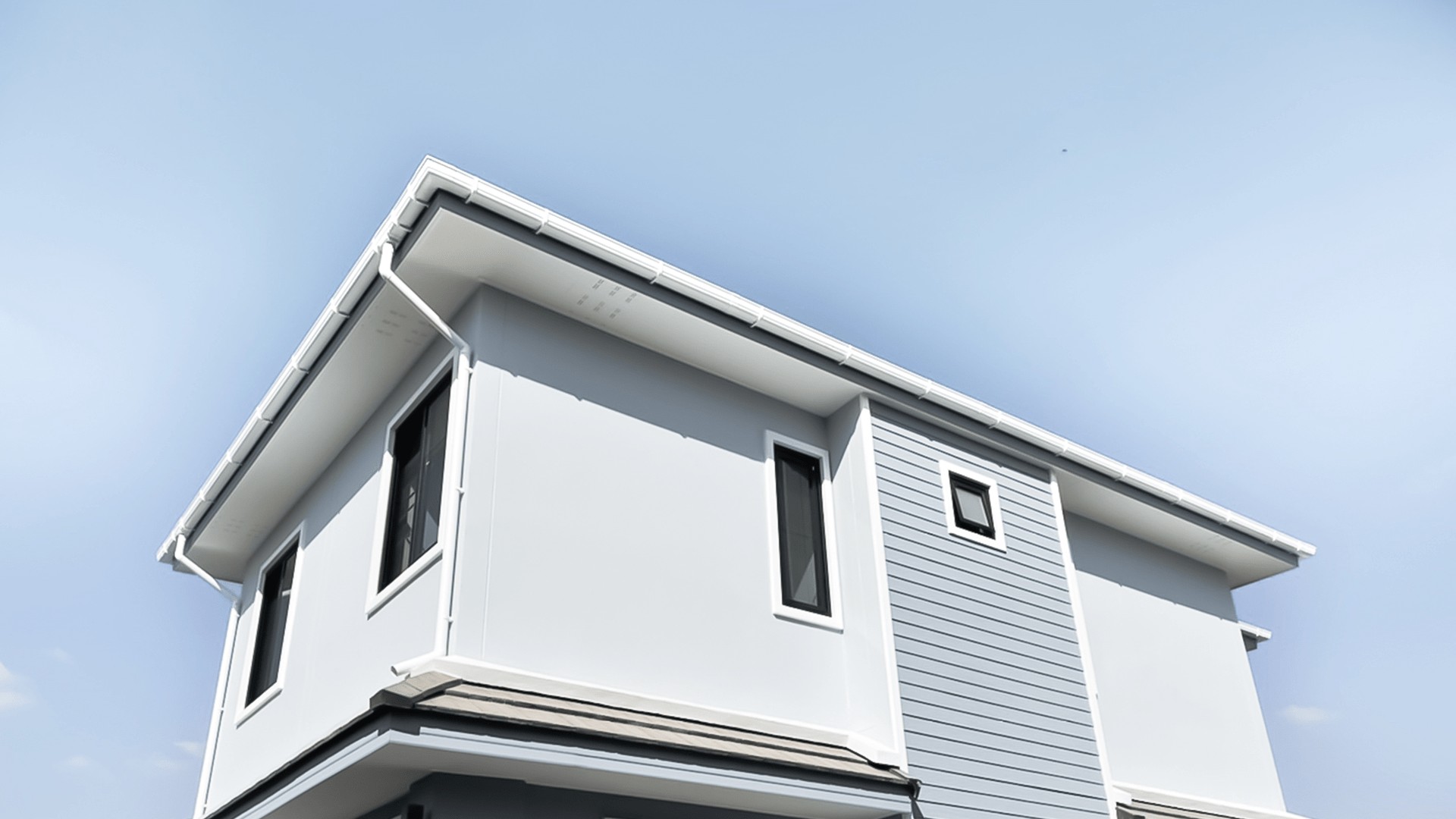 Blog 1 ฟรีแลนด์