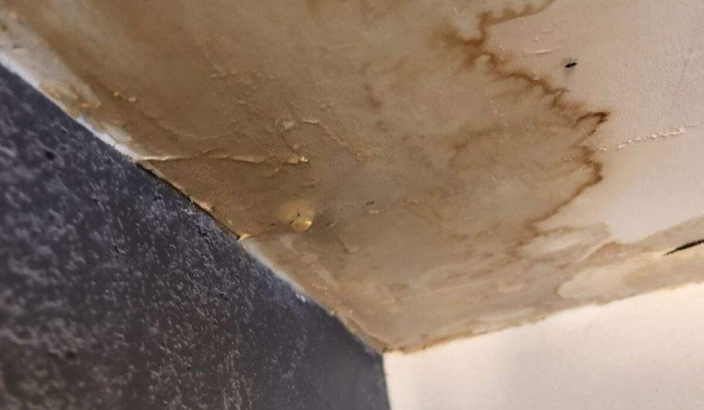 VGandHome SEO SEP C01 3