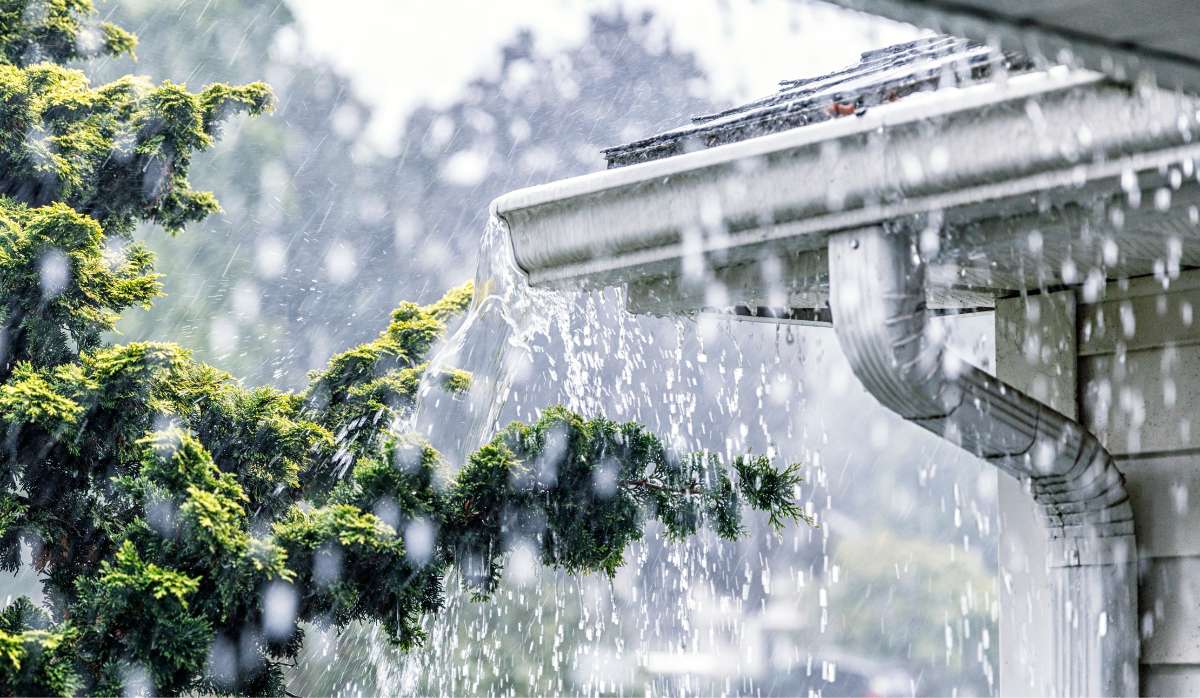 VGandHome SEO DEC C02 2